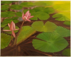 oil-lotus pond