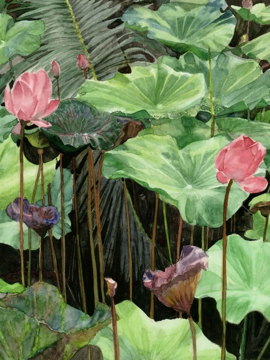 Lumpini Park, Lotus